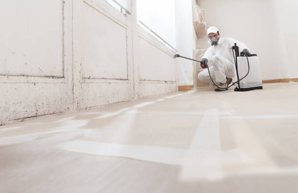 24/7 Emergency Black Mold Remediation experts in Renton, WA