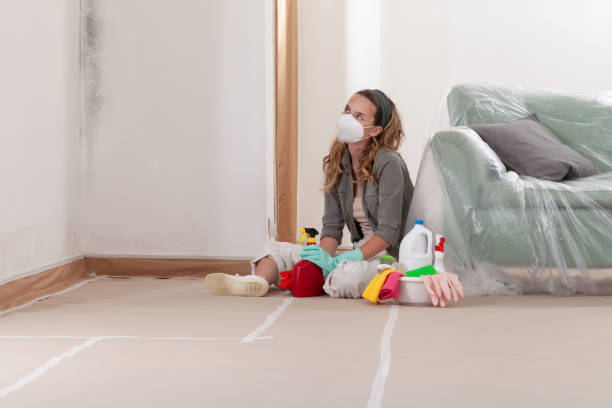 Reliable Black Mold Remediation contractor in Renton, WA by Car Mold Remediation